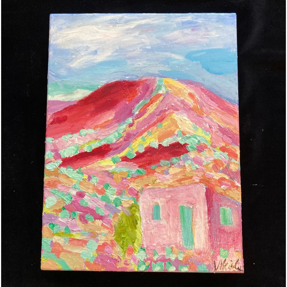 Pink Casa In Southwest”“An Original art Acrylic  Painting 16”x12”x1.5” Original